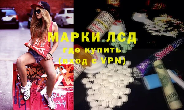 прущие грибы Пенза