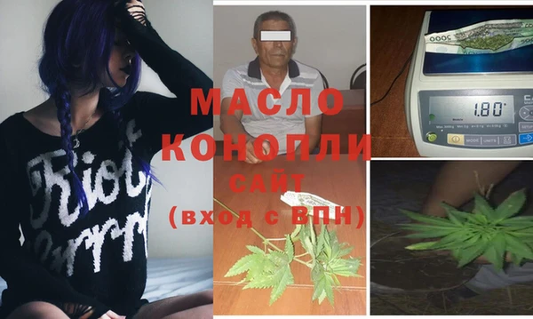 крисы Алексин