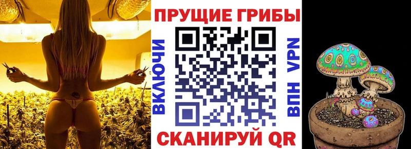 blacksprut зеркало  Сасово  Псилоцибиновые грибы MAGIC MUSHROOMS 